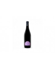 Rode wijnen  Marina Cvetic Syrah Colline Pescaresi Igt 2017 - Masciarelli 19,59 €