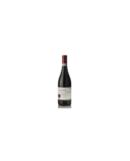 Vini Rossi  Montepulciano D’Abruzzo DOC 2016 Primamadre - Vini la Quercia 8,20 €