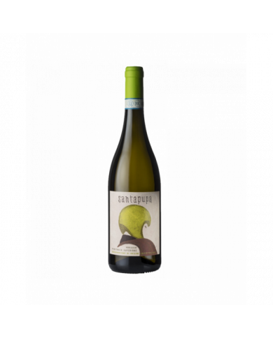 Home  SantaPupa Abruzzo DOP Montonico Superiore 2021 - Vini la Quercia 8,61 â‚¬ Home  SantaPupa Abruzzo DOP Montonico Superiore 2021 - Vini la Quercia 8,61 â‚¬