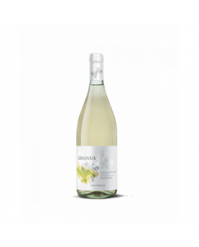 White wines  Pecorino Colline Pescaresi IGP 2022 Linea Geminus - Monteselva 6,76 € White wines  Pecorino Colline Pescaresi IGP 2022 Linea Geminus - Monteselva 6,76 €