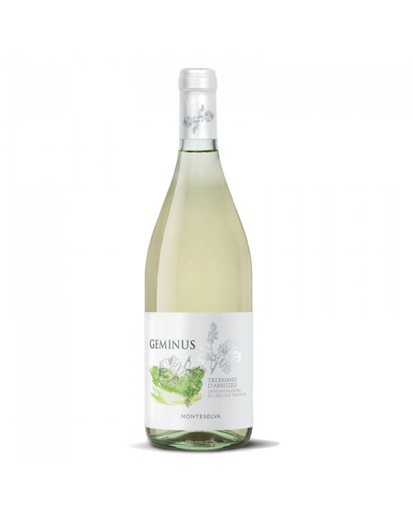 White wines Trebbiano d’Abruzzo DOP 2022 Linea Geminus - Monteselva 7,11 € White wines Trebbiano d’Abruzzo DOP 2022 Linea Geminus - Monteselva 7,11 €