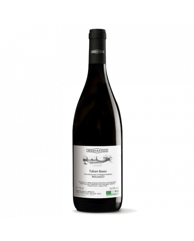 Vini Rossi  Tullum Rosso DOP 2019 Biologico - Feudo Antico 9,17 € Vini Rossi  Tullum Rosso DOP 2019 Biologico - Feudo Antico 9,17 €
