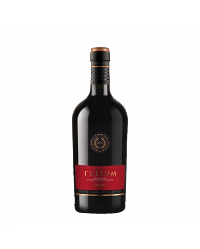 Vini Rossi  Rosso Tullum DOCG 2017 - Feudo Antico 9,17 € Vini Rossi  Rosso Tullum DOCG 2017 - Feudo Antico 9,17 €