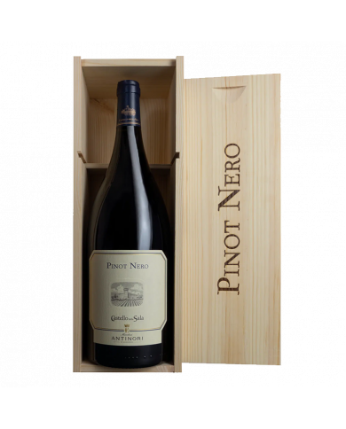 Red Wines  Pinot Nero della Sala 2019 Magnum Castello della Sala - Antinori 105,00 €