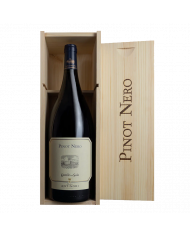 Red Wines  Pinot Nero della Sala 2019 Magnum Castello della Sala - Antinori 105,00 €