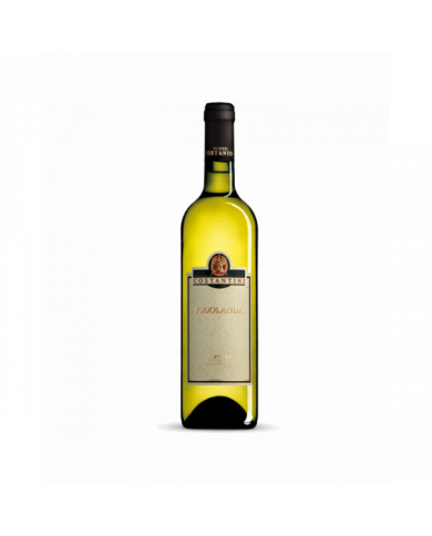 Witte Wijnen  Abruzzo Pecorino DOC 2013 IODOLANDA - Linea Top - Poderi Costantini 16,24&nbsp;€