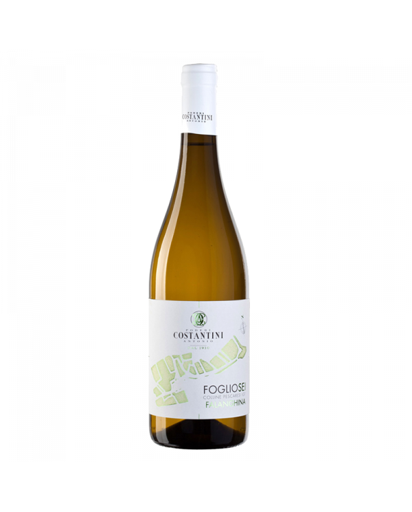Witte Wijnen  Falanghina IGT 2021 - Linea Fogliosei - Poderi Costantini 5,76 â‚¬ Witte Wijnen  Falanghina IGT 2021 - Linea Fogliosei - Poderi Costantini 5,76 â‚¬