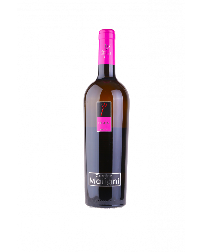 Vini Bianchi  Maia Pecorino Colline Teatine 2021 IGT - Cantine Maligni 14,00 €