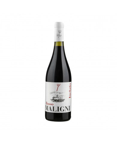Vini Rossi  Inebrio Rosso - Cantine Maligni 5,41 € Vini Rossi  Inebrio Rosso - Cantine Maligni 5,41 €