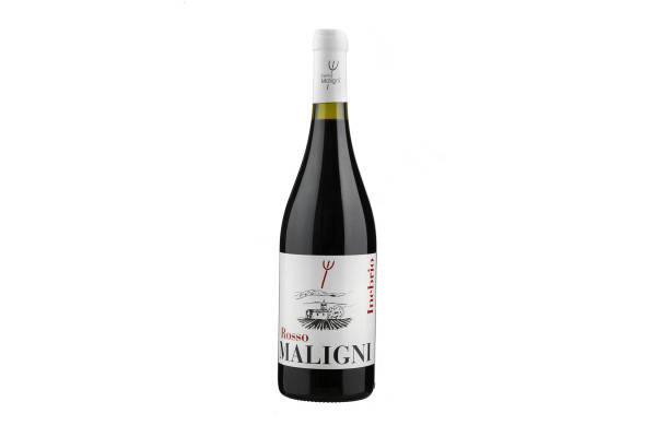 Vini Rossi  Inebrio Rosso 2022 - Cantine Maligni 6,56&nbsp;€