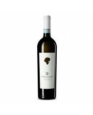 Vini Bianchi  ANIMA Trebbiano D’Abruzzo D.O.C. 2023 - Marramiero 11,23 €