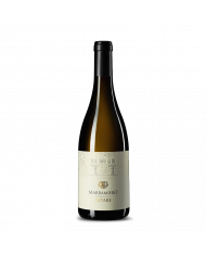 Witte Wijnen  ALTARE Trebbiano D’Abruzzo D.O.C. 2021 in Barriques - Marramiero 14,42 €