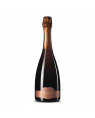 Rosé-Weine  Rosè Metodo Classico Spumante di Qualità - Marramiero 19,04 €