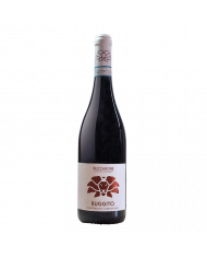 Vini Rossi  Ruggito Montepulciano D'Abruzzo DOC 2020 - Buzzarone 14,00 â‚¬ Vini Rossi  Ruggito Montepulciano D'Abruzzo DOC 2020 - Buzzarone 14,00 â‚¬