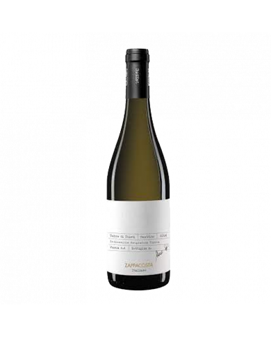 Vini Bianchi  Pecorino IGT Terre di Chieti Sud Est 2023 - Zappacosta 11,48 € Vini Bianchi  Pecorino IGT Terre di Chieti Sud Est 2023 - Zappacosta 11,48 €