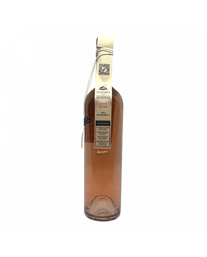 Vini Bianchi  Pinot Grigio IGP 2024 Ancestrale Lunaria - Cantina Orsogna 9,95 â‚¬ Vini Bianchi  Pinot Grigio IGP 2024 Ancestrale Lunaria - Cantina Orsogna 9,95 â‚¬