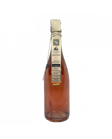 Rosé Wines  Pinot Grigio Spumante Brut Nature Ancestrale bio 2024 Lunaria - Cantina Orsogna 10,82 € Rosé Wines  Pinot Grigio Spumante Brut Nature Ancestrale bio 2024 Lunaria - Cantina Orsogna 10,82 €