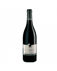 Vini Rossi  Campo Sacro Montepulciano D'Abruzzo DOC 2020 - Roxan 10,91 €