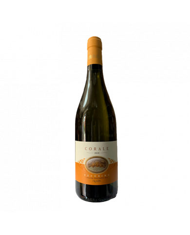 Witte Wijnen  Corale Pecorino Colline Pescaresi IGT 2021 - Roxan 9,20 €