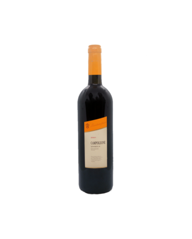 Vini Rossi  Campoleone IGT Umbria 2001 - LAMBORGHINI 49,18 €