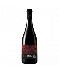 Vini Rossi  Versante 700 Etna Rosso Magnum 2018 - CVA Canicattì 49,00&nbsp;€