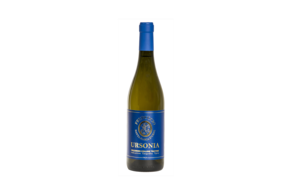 Vini Bianchi  Ursonia Pecorino Colline Teatine IGT 2018 - Il Feuduccio 17,46&nbsp;€