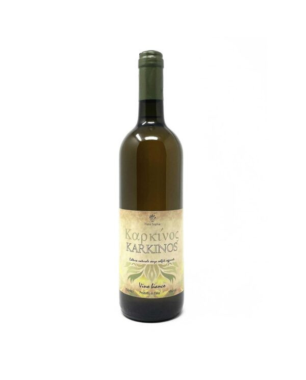 Witte Wijnen  Karkinos Pecorino orange 2019 - Pistis Sophia 16,52 â‚¬ Witte Wijnen  Karkinos Pecorino orange 2019 - Pistis Sophia 16,52 â‚¬