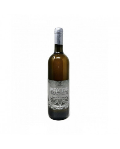 Vini Bianchi  Orange 2019 Malvasia Magnetizzato - Pistis Sophia 16,52 € Vini Bianchi  Orange 2019 Malvasia Magnetizzato - Pistis Sophia 16,52 €