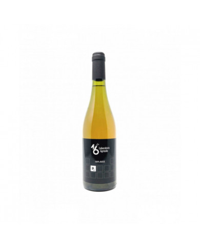 Vini Bianchi  P3 Laboratorio Agricolo 16 Orange 2020 - Pistis Sophia 9,10 € Vini Bianchi  P3 Laboratorio Agricolo 16 Orange 2020 - Pistis Sophia 9,10 €