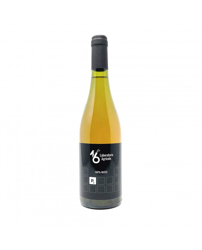 White wines  P3 Laboratorio Agricolo 16 Orange 2020 - Pistis Sophia 9,10&nbsp;€