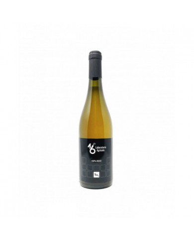 Vini Bianchi  Tm2 Laboratorio Agricolo 16 Orange 2020 - Pistis Sophia 8,54 € Vini Bianchi  Tm2 Laboratorio Agricolo 16 Orange 2020 - Pistis Sophia 8,54 €