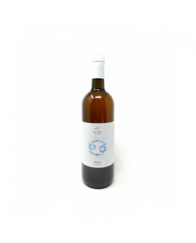 Vini Bianchi  Karkinos Pecorino 2020 - Pistis Sophia 15,12 € Vini Bianchi  Karkinos Pecorino 2020 - Pistis Sophia 15,12 €