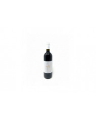 Vini Rossi  Kriós Montepulciano 2020 - Pistis Sophia 12,46 â‚¬ Vini Rossi  Kriós Montepulciano 2020 - Pistis Sophia 12,46 â‚¬