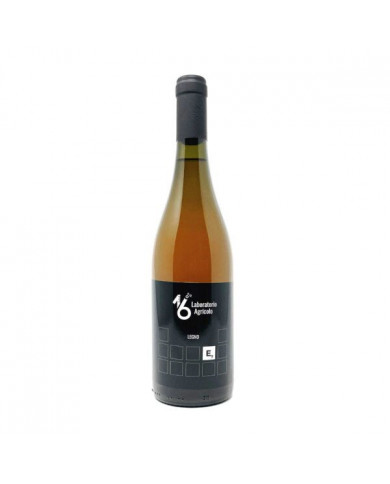 Vini Bianchi  E7 Laboratorio Agricolo 16 Orange Trebbiano Moscato 2020 - Pistis Sophia 10,50 € Vini Bianchi  E7 Laboratorio Agricolo 16 Orange Trebbiano Moscato 2020 - Pistis Sophia 10,50 €