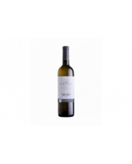 White wines  Pinot Grigio Trentino DOC 2021 - Castel Firmian 9,60&nbsp;€