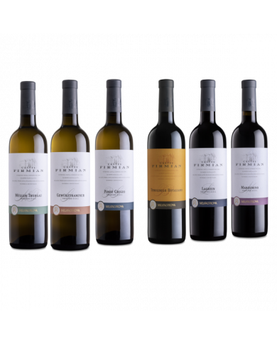 White wines  Degustazione 6 bottiglie - Castel Firmian 81,00 € White wines  Degustazione 6 bottiglie - Castel Firmian 81,00 €