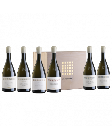 White wines  Confezione in legno da 6 bottiglie miste - Musivum 248,00 € White wines  Confezione in legno da 6 bottiglie miste - Musivum 248,00 €