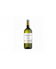 White wines  Pinot Grigio Vigneti delle Dolomiti IGT 2022 Magnum - Terre del Noce 10,80 € White wines  Pinot Grigio Vigneti delle Dolomiti IGT 2022 Magnum - Terre del Noce 10,80 €