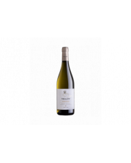 Vini Bianchi  Chardonnay Alto Adige DOC 2023 - Tolloy 10,85 €