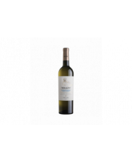 Vini Bianchi  Pinot Bianco Weissburgunder Sudtirol Alto Adige DOC 2022 - Tolloy 10,60 â‚¬ Vini Bianchi  Pinot Bianco Weissburgunder Sudtirol Alto Adige DOC 2022 - Tolloy 10,60 â‚¬