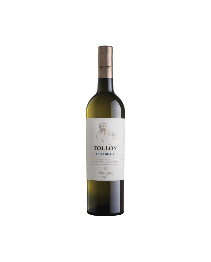 Witte Wijnen  Pinot Grigio Alto Adige DOC 2021 - Tolloy 10,83 €