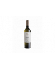 Vini Bianchi  Pinot Grigio Alto Adige DOC 2021 - Tolloy 10,83 €