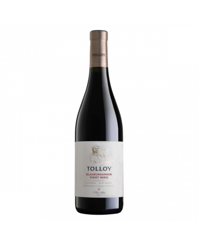 Red Wines  Pinot Nero Blauburgunder Alto Adige DOC 2021 - Tolloy 13,50 € Red Wines  Pinot Nero Blauburgunder Alto Adige DOC 2021 - Tolloy 13,50 €