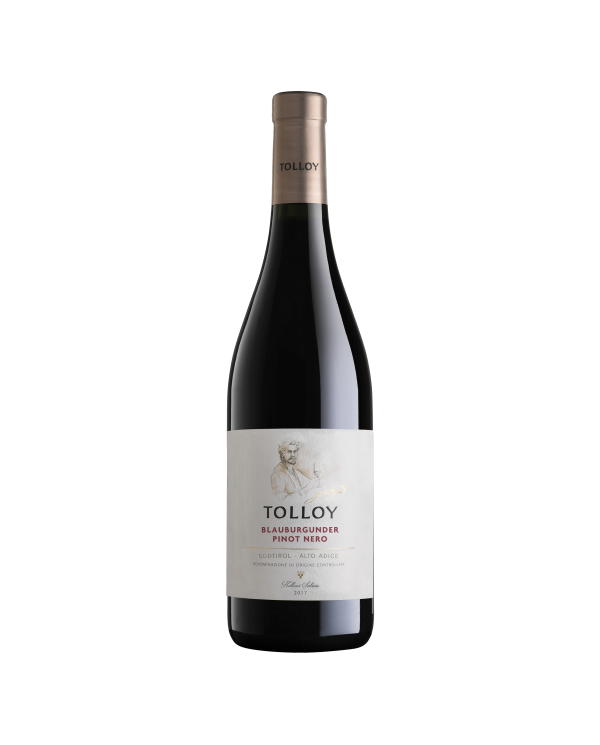 Vini Rossi  Pinot Nero Blauburgunder Alto Adige DOC 2021 - Tolloy 13,50 â‚¬ Vini Rossi  Pinot Nero Blauburgunder Alto Adige DOC 2021 - Tolloy 13,50 â‚¬