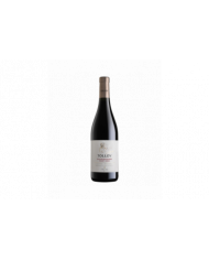 Rode wijnen  Pinot Nero Blauburgunder Alto Adige DOC 2021 - Tolloy 13,50 €