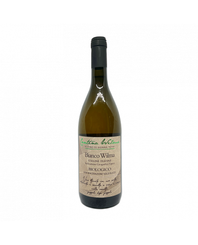 Vini Bianchi  Bianco Wilma Colline Teatine IGT 2021 Biologico - Cantina Wilma 8,93 € Vini Bianchi  Bianco Wilma Colline Teatine IGT 2021 Biologico - Cantina Wilma 8,93 €