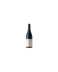 Vini Rossi  Fosso Cancelli Montepulciano D'Abruzzo DOP 2017 - Ciavolich 40,90 €