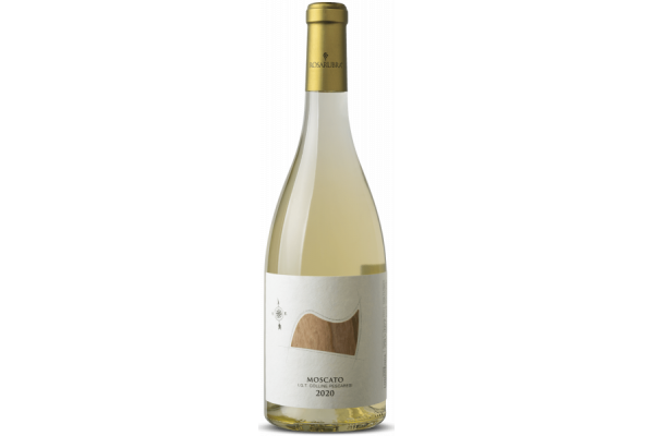Vini Bianchi  Moscato Colline Pescaresi IGT 2020 - Vigne Lomanegra - Rosarubra 25,82&nbsp;€
