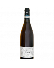 Witte Wijnen  Trebbiano d’Abruzzo DOC 2021 - Tenuta Trium 14,75 €