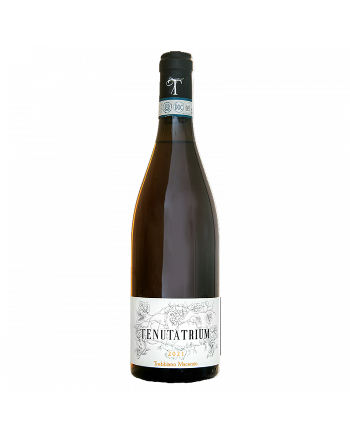 Vini Bianchi  Trebbiano d’Abruzzo Macerato 2021 - Tenuta Trium 18,03 €